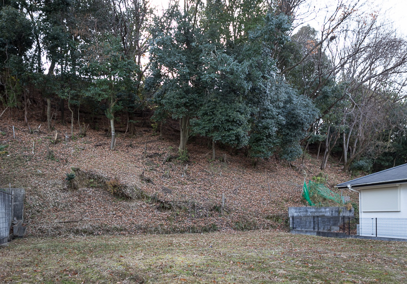 多聞山城の北側斜面