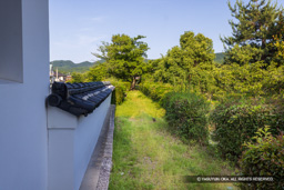 本丸土塀跡 | 高解像度画像サイズ：8192 x 5464 pixels | 写真番号：344A0174 | 撮影：Canon EOS R5