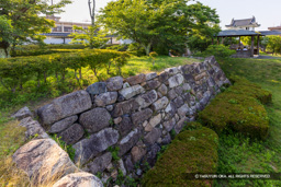 天守台 | 高解像度画像サイズ：7412 x 4944 pixels | 写真番号：344A0189 | 撮影：Canon EOS R5