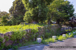 二の丸東側石垣 | 高解像度画像サイズ：8192 x 5464 pixels | 写真番号：344A0198 | 撮影：Canon EOS R5