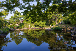 田辺城跡心種園・二の丸跡 | 高解像度画像サイズ：8192 x 5464 pixels | 写真番号：344A0201 | 撮影：Canon EOS R5