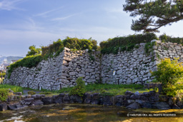 旧本丸北東隅石垣 | 高解像度画像サイズ：8059 x 5375 pixels | 写真番号：344A0204 | 撮影：Canon EOS R5
