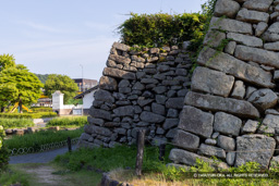旧本丸北東隅石垣 | 高解像度画像サイズ：8192 x 5464 pixels | 写真番号：344A0206 | 撮影：Canon EOS R5