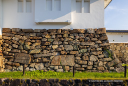 隅櫓の石垣（城外側） | 高解像度画像サイズ：8192 x 5464 pixels | 写真番号：344A0248 | 撮影：Canon EOS R5