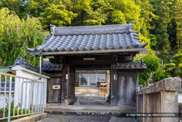見海寺 | 高解像度画像サイズ：7394 x 4932 pixels | 写真番号：344A0267 | 撮影：Canon EOS R5