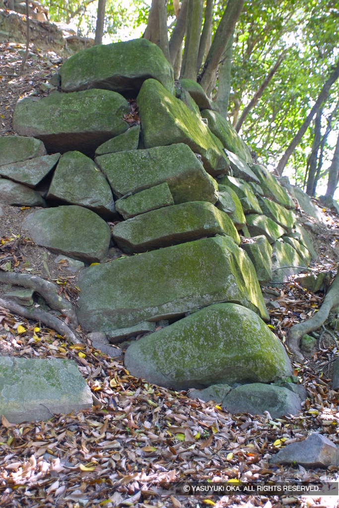 龍野古城石垣