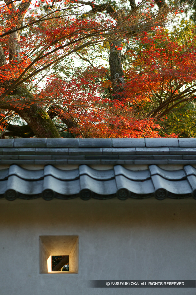 土塀と紅葉