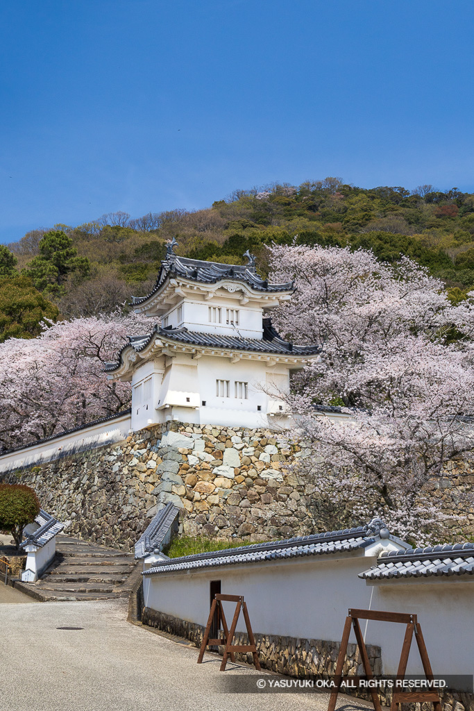 龍野城の桜・隅櫓