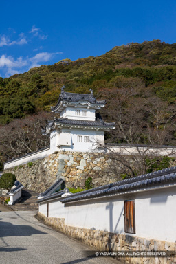龍野城の隅櫓 | 高解像度画像サイズ：5464 x 8192 pixels | 写真番号：344A5247 | 撮影：Canon EOS R5