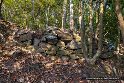 龍野古城石垣 | 高解像度画像サイズ：8192 x 5464 pixels | 写真番号：344A5272 | 撮影：Canon EOS R5