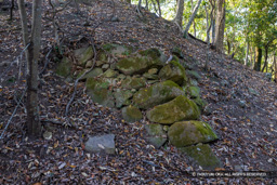龍野古城石垣 | 高解像度画像サイズ：8192 x 5464 pixels | 写真番号：344A5279 | 撮影：Canon EOS R5
