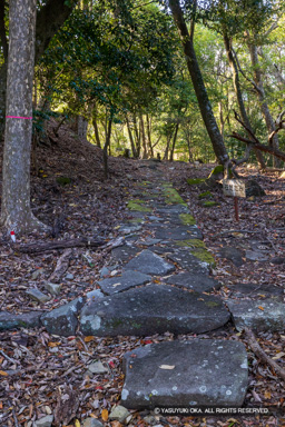 龍野古城石畳 | 高解像度画像サイズ：5402 x 8099 pixels | 写真番号：344A5285 | 撮影：Canon EOS R5