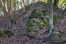 龍野古城石垣 | 高解像度画像サイズ：8192 x 5464 pixels | 写真番号：344A5288 | 撮影：Canon EOS R5