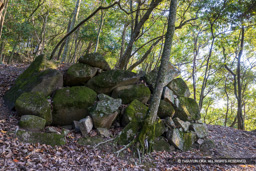 龍野古城石垣 | 高解像度画像サイズ：8192 x 5464 pixels | 写真番号：344A5308 | 撮影：Canon EOS R5