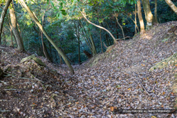 龍野古城竪堀 | 高解像度画像サイズ：8192 x 5464 pixels | 写真番号：344A5314 | 撮影：Canon EOS R5