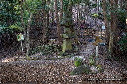 両見坂石灯籠 | 高解像度画像サイズ：8192 x 5464 pixels | 写真番号：344A5316 | 撮影：Canon EOS R5