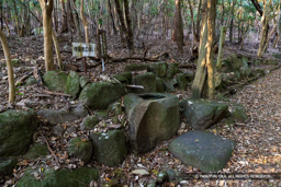 侍屋敷の蹲い | 高解像度画像サイズ：8192 x 5464 pixels | 写真番号：344A5324 | 撮影：Canon EOS R5