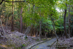 旧因幡街道 | 高解像度画像サイズ：8192 x 5464 pixels | 写真番号：344A5330 | 撮影：Canon EOS R5