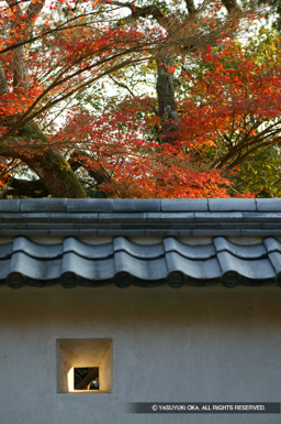 土塀と紅葉 | 高解像度画像サイズ：2704 x 4064 pixels | 写真番号：53BS0876 | 撮影：Canon EOS-1DS
