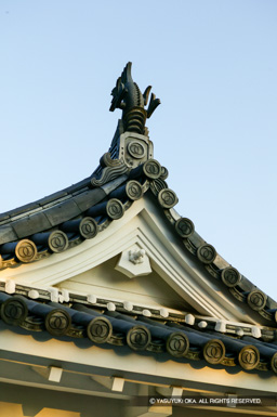 埋門櫓門 | 高解像度画像サイズ：2704 x 4064 pixels | 写真番号：53BS0888 | 撮影：Canon EOS-1DS