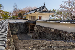 埋門 | 高解像度画像サイズ：8192 x 5464 pixels | 写真番号：6F1A6391 | 撮影：Canon EOS R5m2