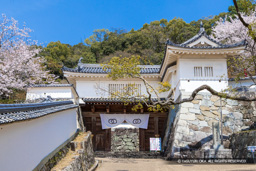 龍野城の桜・埋門 | 高解像度画像サイズ：7887 x 5260 pixels | 写真番号：6F1A6406 | 撮影：Canon EOS R5m2