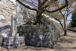 江戸中期補強石垣 | 高解像度画像サイズ：8192 x 5464 pixels | 写真番号：6F1A6409 | 撮影：Canon EOS R5m2