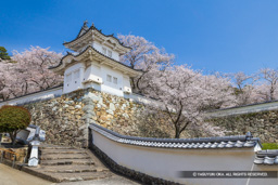 龍野城の桜・隅櫓 | 高解像度画像サイズ：7837 x 5227 pixels | 写真番号：6F1A6449 | 撮影：Canon EOS R5m2