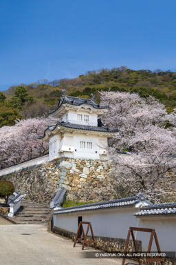 龍野城の桜・隅櫓 | 高解像度画像サイズ：5279 x 7914 pixels | 写真番号：6F1A6467 | 撮影：Canon EOS R5m2
