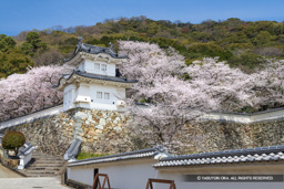 龍野城の桜・隅櫓 | 高解像度画像サイズ：7913 x 5278 pixels | 写真番号：6F1A6471 | 撮影：Canon EOS R5m2