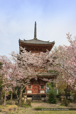 宝積寺三重塔｜高解像度画像サイズ：3744 x 5616 pixels｜写真番号：1P3J4543｜撮影：Canon EOS-1Ds Mark III