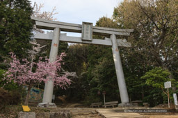 天王山酒解神社｜高解像度画像サイズ：5143 x 3429 pixels｜写真番号：1P3J4577｜撮影：Canon EOS-1Ds Mark III