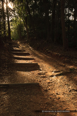 登山道｜高解像度画像サイズ：3744 x 5616 pixels｜写真番号：1P3J4632｜撮影：Canon EOS-1Ds Mark III