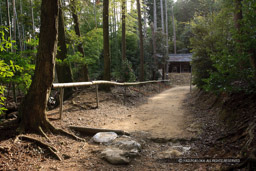 天王山酒解神社｜高解像度画像サイズ：5616 x 3744 pixels｜写真番号：1P3J4635｜撮影：Canon EOS-1Ds Mark III