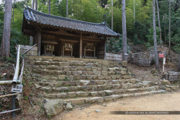 天王山酒解神社｜高解像度画像サイズ：5616 x 3744 pixels｜写真番号：1P3J4638｜撮影：Canon EOS-1Ds Mark III