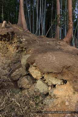 石垣｜高解像度画像サイズ：3744 x 5616 pixels｜写真番号：1P3J4715｜撮影：Canon EOS-1Ds Mark III