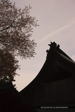 天王山酒解神社｜高解像度画像サイズ：3744 x 5616 pixels｜写真番号：1P3J4724｜撮影：Canon EOS-1Ds Mark III