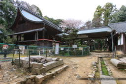 天王山酒解神社｜高解像度画像サイズ：5399 x 3600 pixels｜写真番号：1P3J4729｜撮影：Canon EOS-1Ds Mark III