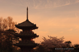 宝積寺三重塔｜高解像度画像サイズ：3404 x 2269 pixels｜写真番号：1P3J4738｜撮影：Canon EOS-1Ds Mark III