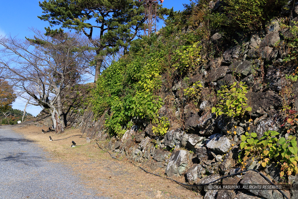 鳥羽城本丸石垣西面