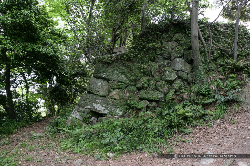 鳥羽城本丸石垣北面