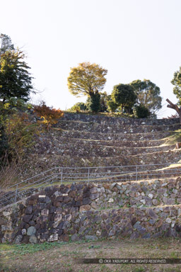 三ノ丸広場から見る石垣｜高解像度画像サイズ：5464 x 8192 pixels｜写真番号：344A6668｜撮影：Canon EOS R5