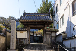 光岳禅寺｜高解像度画像サイズ：7444 x 4965 pixels｜写真番号：344A6683｜撮影：Canon EOS R5