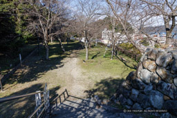 城山公園｜高解像度画像サイズ：8192 x 5464 pixels｜写真番号：344A6700｜撮影：Canon EOS R5