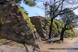 鳥羽城本丸石垣西面｜高解像度画像サイズ：8192 x 5464 pixels｜写真番号：344A6718｜撮影：Canon EOS R5