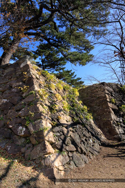 鳥羽城本丸石垣西面｜高解像度画像サイズ：5464 x 8192 pixels｜写真番号：344A6723｜撮影：Canon EOS R5