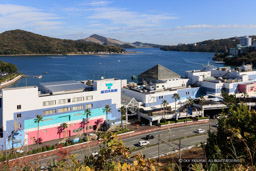 鳥羽水族館｜高解像度画像サイズ：8122 x 5417 pixels｜写真番号：344A6727｜撮影：Canon EOS R5