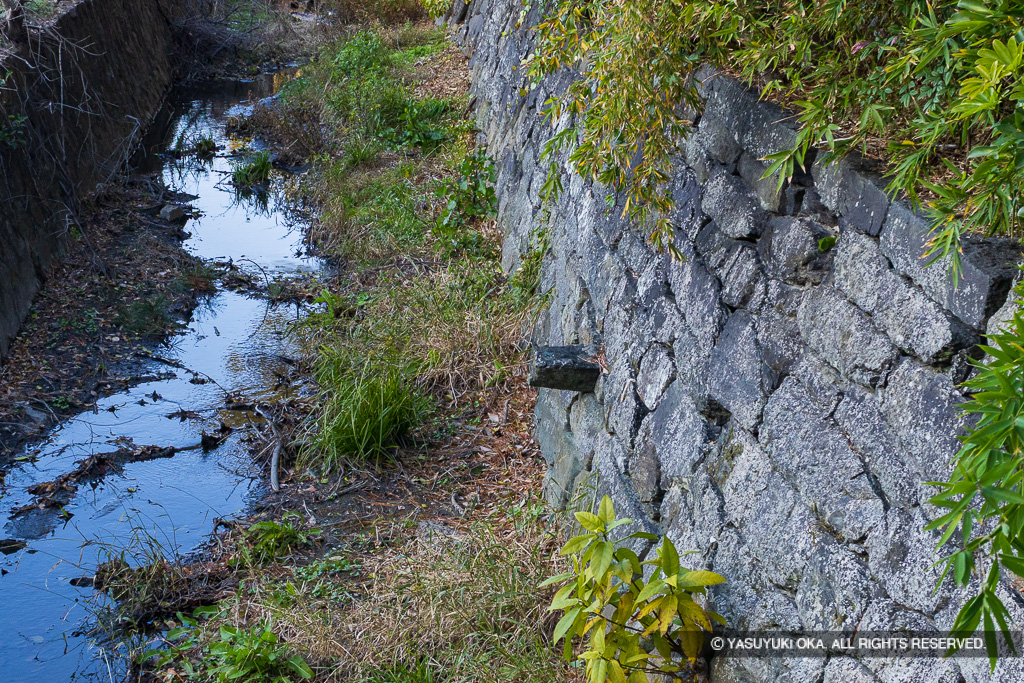 舌石・寺島川・内堀跡