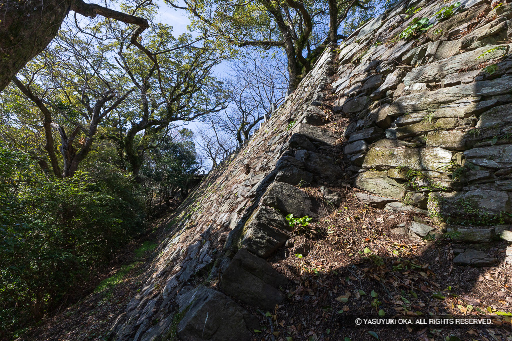 本丸石垣南面