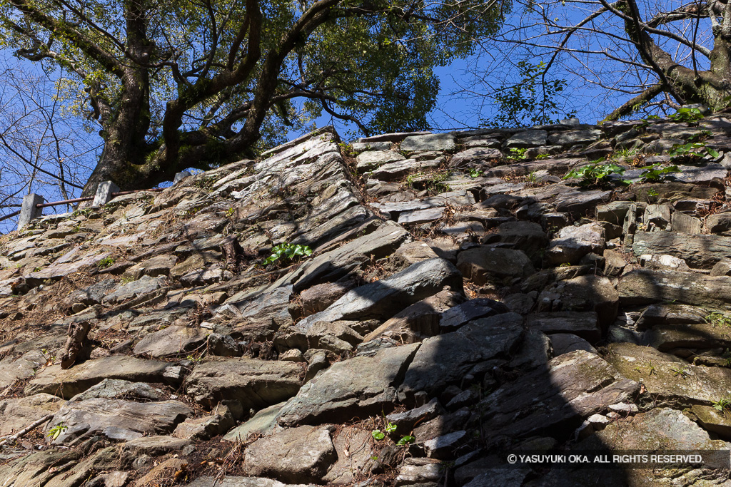 本丸石垣南面